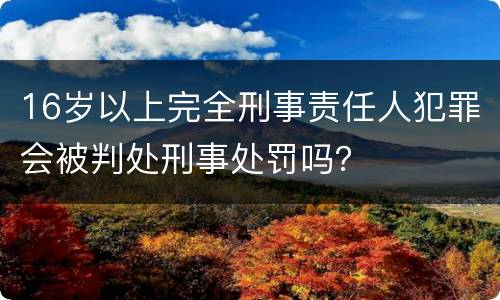 16岁以上完全刑事责任人犯罪会被判处刑事处罚吗？