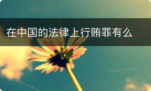 在中国的法律上行贿罪有么