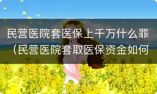 民营医院套医保上千万什么罪（民营医院套取医保资金如何定罪）