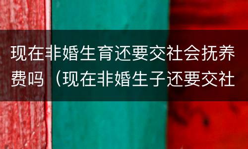 现在非婚生育还要交社会抚养费吗（现在非婚生子还要交社会抚养费吗）