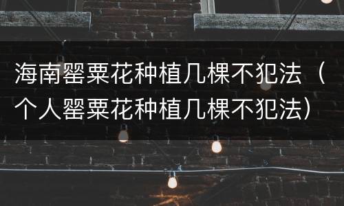 海南罂粟花种植几棵不犯法（个人罂粟花种植几棵不犯法）