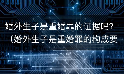 婚外生子是重婚罪的证据吗？（婚外生子是重婚罪的构成要件）