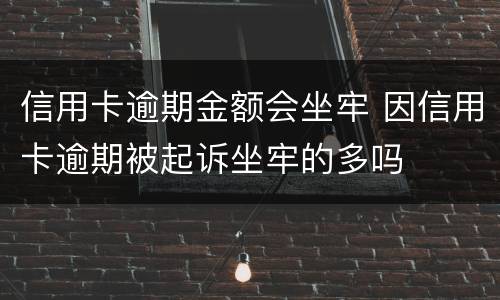 信用卡逾期金额会坐牢 因信用卡逾期被起诉坐牢的多吗