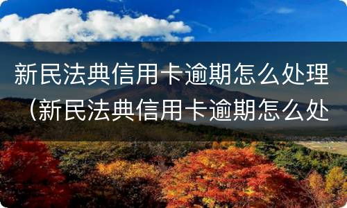 新民法典信用卡逾期怎么处理（新民法典信用卡逾期怎么处理的）