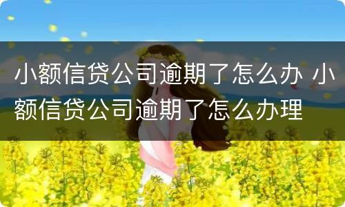 小额信贷公司逾期了怎么办 小额信贷公司逾期了怎么办理