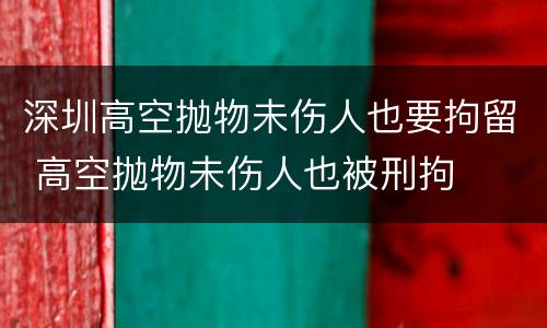 深圳高空抛物未伤人也要拘留 高空抛物未伤人也被刑拘