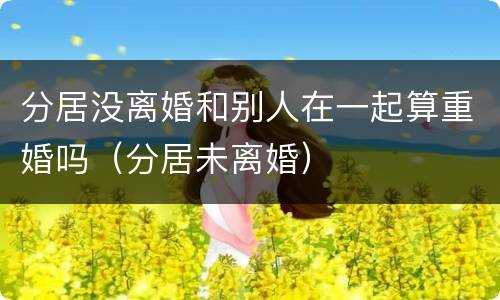 分居没离婚和别人在一起算重婚吗（分居未离婚）