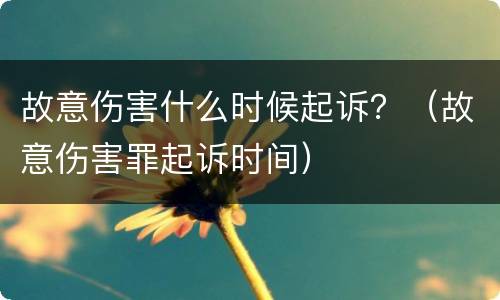 故意伤害什么时候起诉？（故意伤害罪起诉时间）