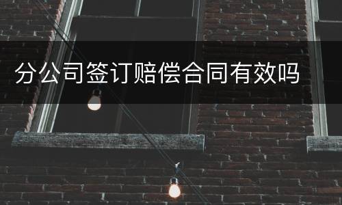 分公司签订赔偿合同有效吗