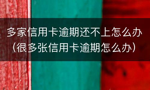 多家信用卡逾期还不上怎么办（很多张信用卡逾期怎么办）