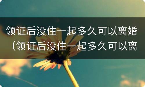 领证后没住一起多久可以离婚（领证后没住一起多久可以离婚了）