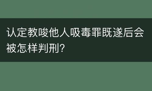 认定教唆他人吸毒罪既遂后会被怎样判刑?