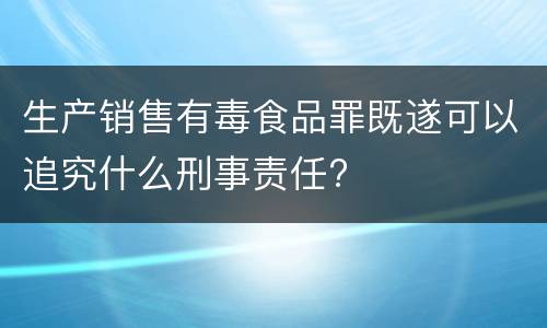 生产销售有毒食品罪既遂可以追究什么刑事责任?