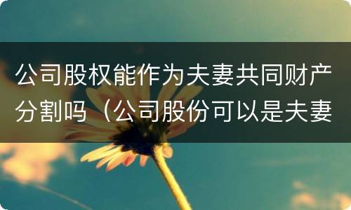 公司股权能作为夫妻共同财产分割吗（公司股份可以是夫妻两个人吗）