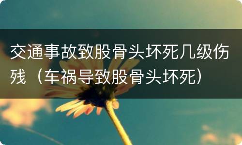 交通事故致股骨头坏死几级伤残（车祸导致股骨头坏死）