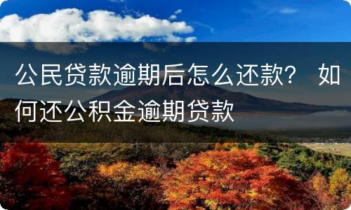 公民贷款逾期后怎么还款？ 如何还公积金逾期贷款