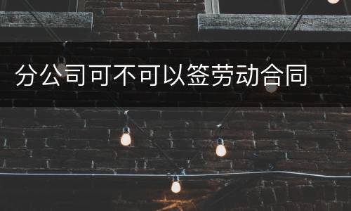 分公司可不可以签劳动合同