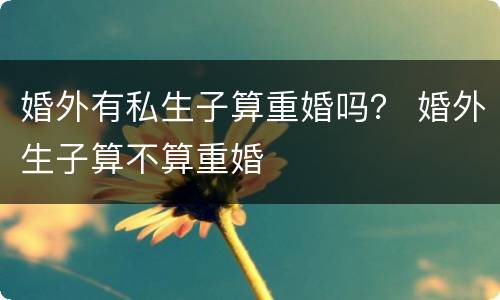 婚外有私生子算重婚吗？ 婚外生子算不算重婚