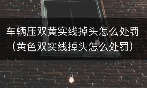 车辆压双黄实线掉头怎么处罚（黄色双实线掉头怎么处罚）