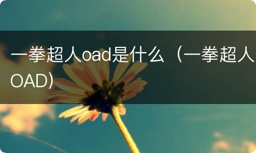 一拳超人oad是什么（一拳超人OAD）