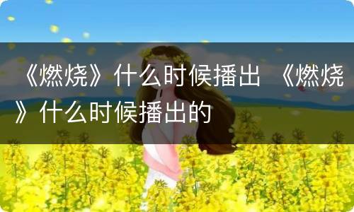 《燃烧》什么时候播出 《燃烧》什么时候播出的