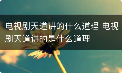 电视剧天道讲的什么道理 电视剧天道讲的是什么道理