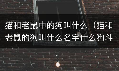 猫和老鼠中的狗叫什么（猫和老鼠的狗叫什么名字什么狗斗牛犬）