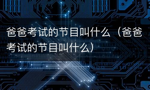 爸爸考试的节目叫什么（爸爸考试的节目叫什么）