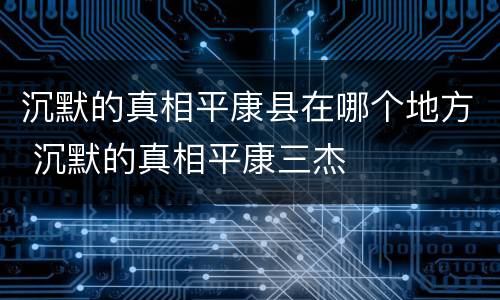沉默的真相平康县在哪个地方 沉默的真相平康三杰