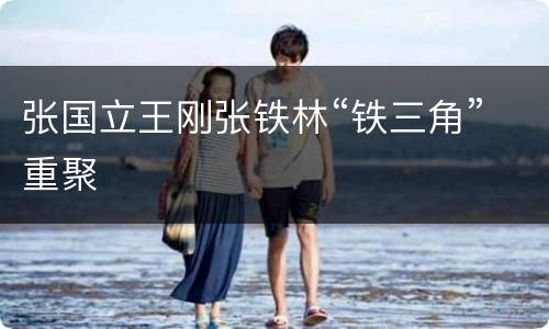 张国立王刚张铁林“铁三角”重聚