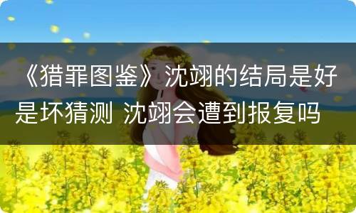 《猎罪图鉴》沈翊的结局是好是坏猜测 沈翊会遭到报复吗
