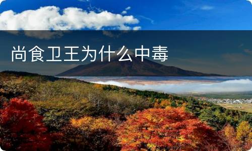 尚食卫王为什么中毒