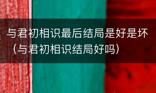 与君初相识最后结局是好是坏（与君初相识结局好吗）