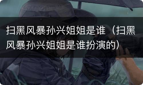 扫黑风暴孙兴姐姐是谁（扫黑风暴孙兴姐姐是谁扮演的）