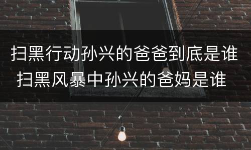 扫黑行动孙兴的爸爸到底是谁 扫黑风暴中孙兴的爸妈是谁