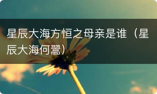 星辰大海方恒之母亲是谁（星辰大海何翯）