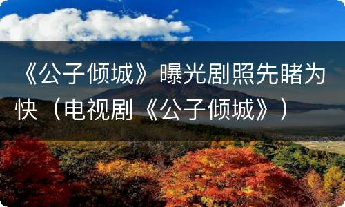 《公子倾城》曝光剧照先睹为快（电视剧《公子倾城》）