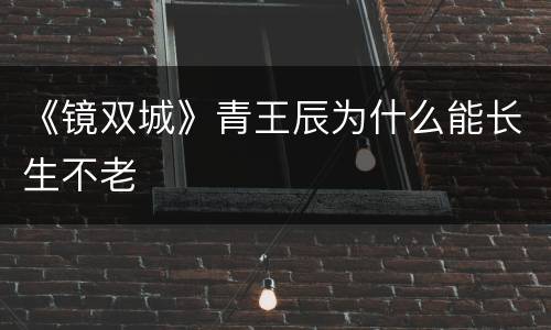 《镜双城》青王辰为什么能长生不老