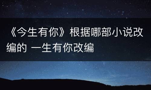 《今生有你》根据哪部小说改编的 一生有你改编