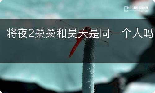 将夜2桑桑和昊天是同一个人吗
