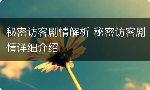 秘密访客剧情解析 秘密访客剧情详细介绍
