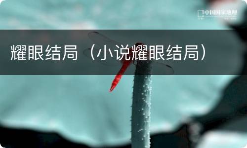 耀眼结局（小说耀眼结局）