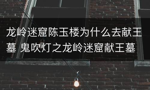 龙岭迷窟陈玉楼为什么去献王墓 鬼吹灯之龙岭迷窟献王墓