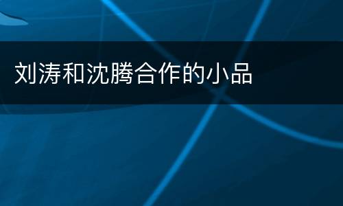 刘涛和沈腾合作的小品