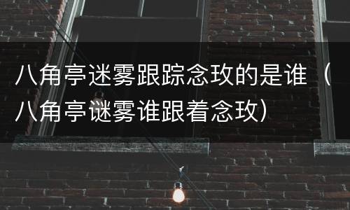 八角亭迷雾跟踪念玫的是谁（八角亭谜雾谁跟着念玫）