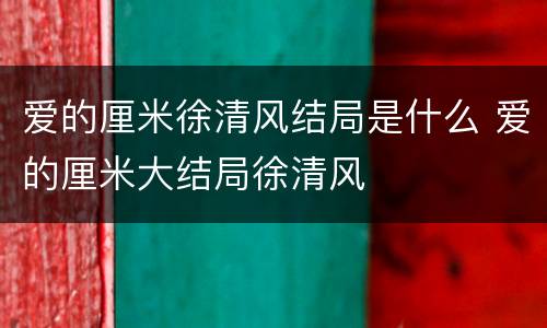 爱的厘米徐清风结局是什么 爱的厘米大结局徐清风