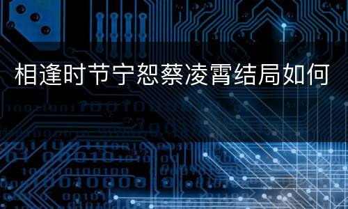 相逢时节宁恕蔡凌霄结局如何