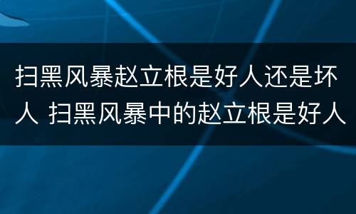扫黑风暴赵立根是好人还是坏人 扫黑风暴中的赵立根是好人吗