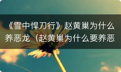《雪中悍刀行》赵黄巢为什么养恶龙（赵黄巢为什么要养恶龙）