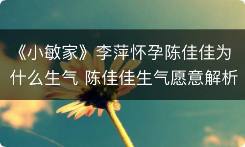 《小敏家》李萍怀孕陈佳佳为什么生气 陈佳佳生气愿意解析